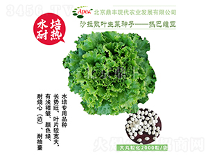 ��;S��-���˷N��-���S�r(n��ng)�I(y��)