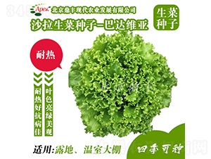 ���_�S��-���˷N��-���S�r(n��ng)�I(y��)