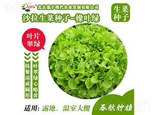 ���~�G-���˷N��-���S�r(n��ng)�I(y��)