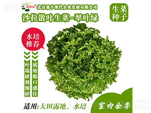 ���~�G-���˷N��-���S�r�I(y��)