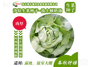 ��ʿ�D����-���˷N��-���S�r�I(y��)