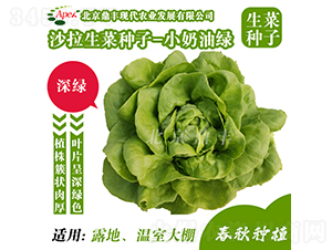 С���;G-���˷N��-���S�r�I(y��)