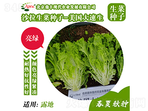 ����������-���˷N��-���S�r�I(y��)