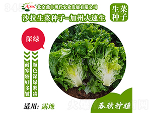 ���ݴ�����-���˷N��-���S�r�I(y��)