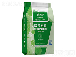 �����o(h��)������ľù-�ؿ�����