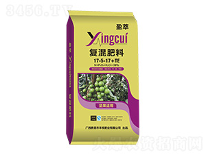 �Թ����Ï�(f��)�����17-5-17+TE-ӯ��-�S�շʘI(y��)