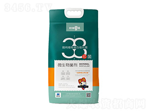 ������ʮ�˾�-��������