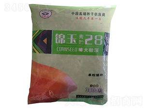 �\�����A28-���׷N��-��ɷN�I(y��)