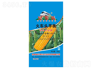 ���׌��Ó����ጷ�29-6-5-��܇�^