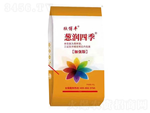 �[��(r��n)�ļ�-�����S-��(r��n)���S