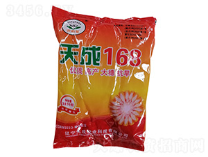 玉米種子-天成168-農哈哈-天成種業(yè)