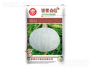 �y���Ϲ�-�ϹϷN��-���S�N�I(y��)