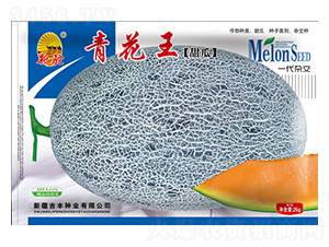 �໨�����-��ϷN��-���S�N�I(y��)