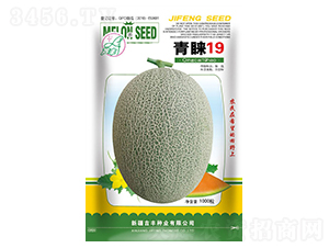 ��A19-��ϷN��-���S�N�I(y��)