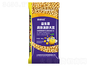 益生菌腐熟發(fā)酵大豆-姜誠(chéng)尚品-姜尚農(nóng)業(yè)