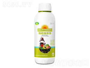 �ЙC(j��)��ጵ�-Ǭʮ��-�t̫���r(n��ng)�I(y��)