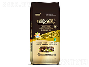 �۹Ȱ����͏�(f��)��΢�����-������-��˾��