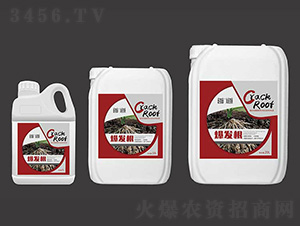 爆發(fā)根-首道農(nóng)業(yè)