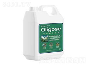 ������Һ�w��Ĥ-�W����