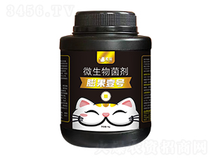 ΢�������-���Ҽ̖-��؈�r�I(y��)