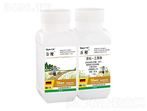 78%��Ȳ���������������װ�+50%���ɡ��Ҳݰ�-�f(w��n)��-�f(w��n)��