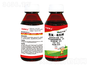 48%�ȷ���������-�f(w��n)�ݺ���-�f(w��n)��