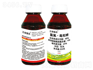 48%�ȷ���������-�f(w��n)�ݪ�(d��)��-�f(w��n)��