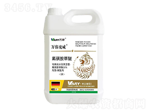 20%���ǰ�����-�f(w��n)�ݻ���-�f(w��n)��