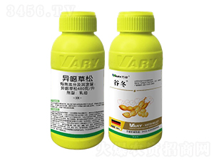 480�������f����-�ȶ�-�f(w��n)��