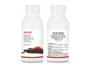 25��ÿ�������������-���I��-�|�h����