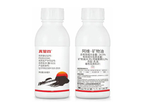 24.5%���S���V��������-�����-�|�h����