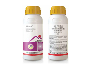 10%�����ёҸ���-�\С��-�|�h����