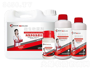 ��������~����-ľ�~ʯ