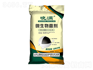 ΢�������-�ԝM-С�Mѭ�h(hu��n)�r(n��ng)�I(y��)