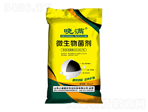 ΢����������S��-�ԝM(m��n)-С�M(m��n)ѭ�h(hu��n)�r(n��ng)�I(y��)