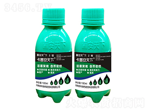 ��������2̖-����