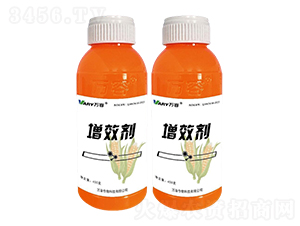 �݃|����-�f(w��n)��