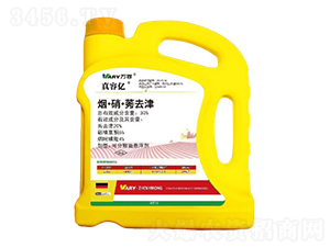 30%��������ݬȥ��-���݃|-�f��