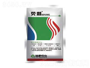 60%ϩड�߻�x(ch��ng)��-�ٴ�-�Ұ�r(n��ng)��