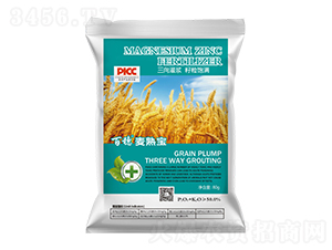 �������쌚-�����r(n��ng)�I(y��)