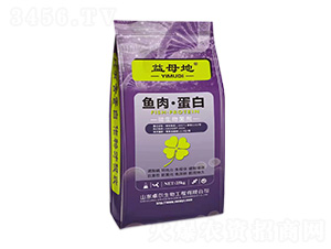 �~�⡤����-��ĸ��-׿������