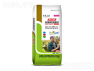 ��Ԫ�ؿ�ጓ������28-10-10-�м���-����S