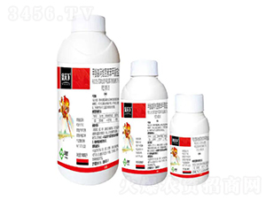 3%�װ������S���ر������}΢�鄩-������-���՘�(l��)