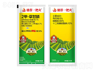 �Y��һ�ѻ�-�t̫�(y��ng)