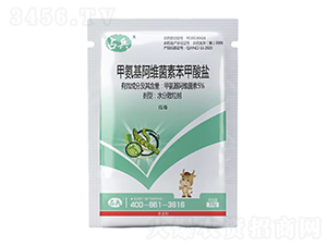 5%�װ������S���ر������}-ռ��-�t̫�(y��ng)