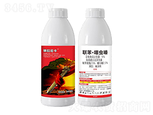 5%(li��n)�������x(ch��ng)�-�S���Ῠ-�t̫�(y��ng)