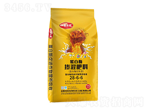 ����ø�������28-6-6-�t̫�