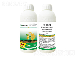 480��/�������-�f(w��n)��