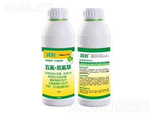 60��/������������-��(r��n)�x-�f(w��n)��