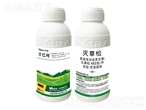 480��/�������-�ʰ���-�f(w��n)��